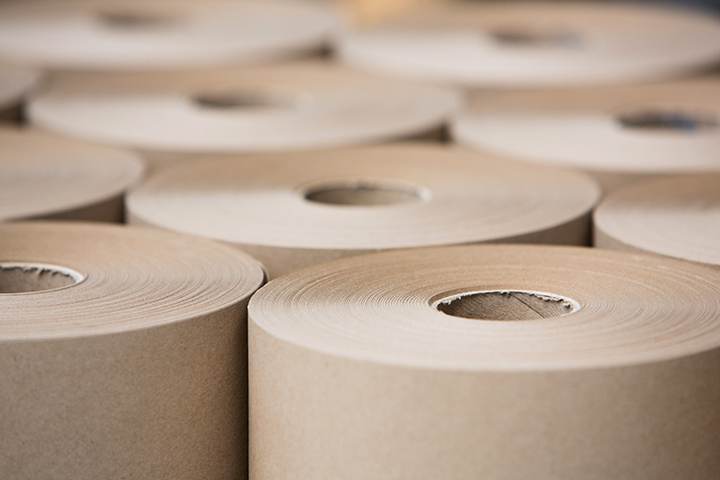 paper rolls